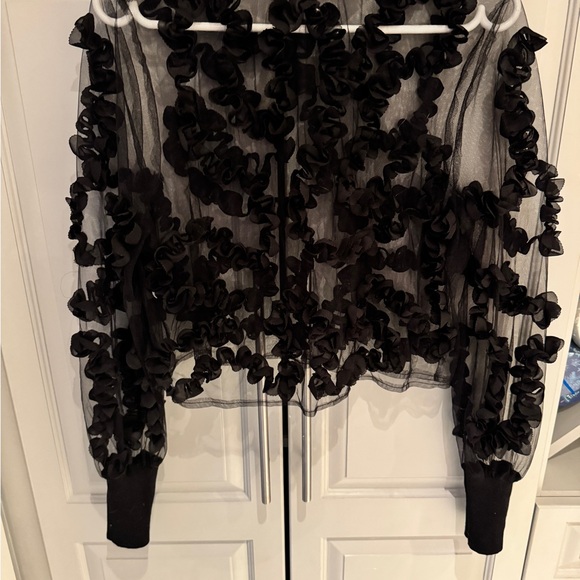 Zara Black Sheer Ruffled Blouse - Picture 3 of 4